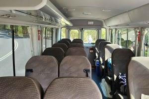 From Cairns: Atherton Tablelands and Paronella Park Day Trip