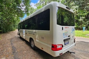 From Cairns: Atherton Tablelands and Paronella Park Day Trip