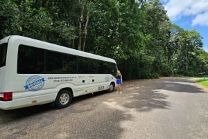 From Cairns: Atherton Tablelands and Paronella Park Day Trip