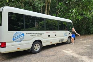 From Cairns: Atherton Tablelands and Paronella Park Day Trip