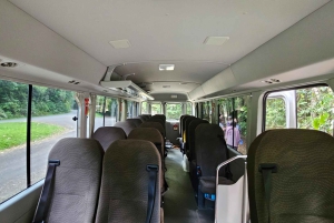 From Cairns: Atherton Tablelands and Paronella Park Day Trip