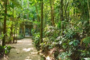 From Cairns: Atherton Tablelands and Paronella Park Day Trip