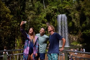 Au départ de Cairns : Eco-aventure et baignade dans les Tablelands d'Atherton
