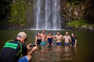 Vanuit Cairns: Atherton Tablelands Eco-Avontuur & Zwemtocht