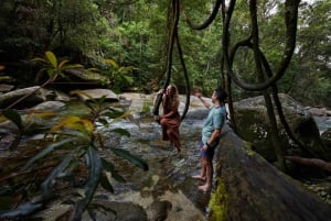 Från Cairns: Atherton Tablelands eko-äventyrs- och simtur