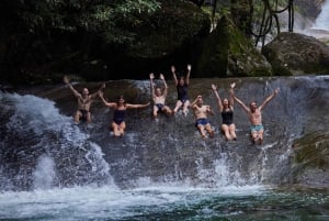 From Cairns: Atherton Tablelands Eco-Adventure & Swim Tour