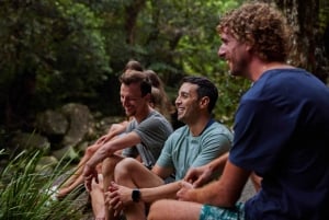 Cairnsista: Atherton Tablelands Eco-Adventure & Swim Tour (Ekoseikkailu ja uintikierros)