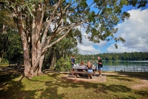 Z Cairns: Atherton Tablelands Eco-Adventure & Swim Tour (Eko-przygoda i pływanie w Atherton Tablelands)