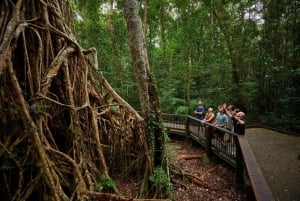 De Cairns: Atherton Tablelands Eco-Adventure & Swim Tour