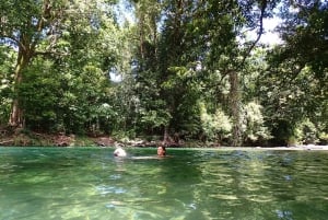 From Cairns: Atherton Tablelands Eco-Adventure & Swim Tour