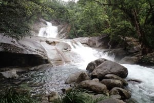 From Cairns: Atherton Tablelands Eco-Adventure & Swim Tour