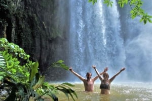 From Cairns: Atherton Tablelands Eco-Adventure & Swim Tour