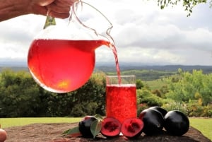 Atherton Tablelands Food and Wine Tasting Tour