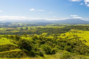 From Cairns: Atherton Tablelands Food and Wine Tasting Tour
