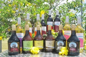 De Degustação Vinhos e Iguarias Planalto de Atherton