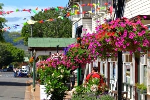 Fra Cairns: Mat- og vinsmaking i Atherton Tablelands