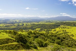 From Cairns: Atherton Tablelands Food and Wine Tasting Tour