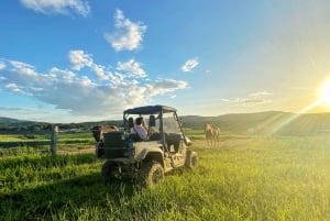 From Cairns: Kuranda Day Trip with Petting Zoo and ATV Ride