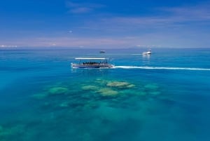 De Cairns: cruzeiro para Michaelmas Cay com atividades aquáticas