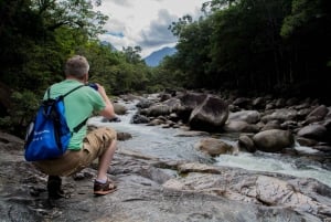 From Cairns: Daintree National Park Private Tour