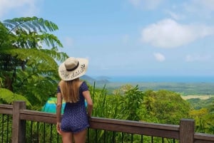 De Cairns : visite Daintree Wilderness et cap Tribulation