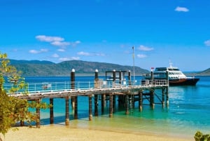 From Cairns: Fitzroy Island Return Catamaran Transfer