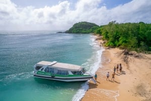 From Cairns: Frankland Islands Express-Day Tour