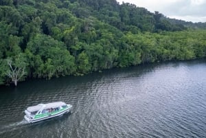 From Cairns: Frankland Islands Express-Day Tour