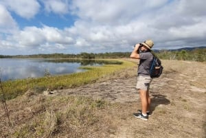 Da Cairns: escursione di birdwatching di un'intera giornata
