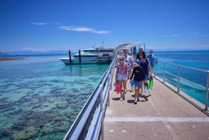 Green Island: crociera di un giorno da Cairns