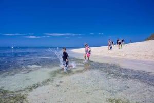 Green Island: crociera di un giorno da Cairns