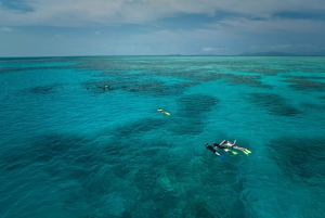 Fra Cairns: Great Barrier Reef halvdagstur med snorkling