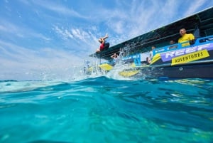 Da Cairns: tour di snorkeling di mezza giornata alla Grande Barriera Corallina