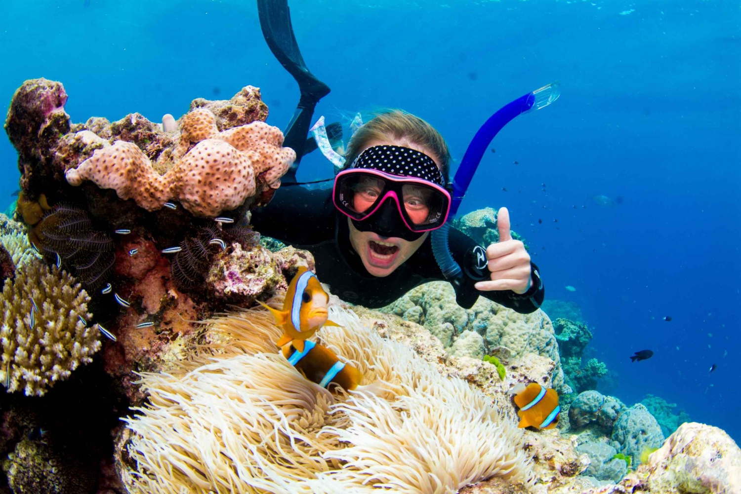 Von Cairns aus: Schnorcheln oder Tauchen am Great Barrier Reef