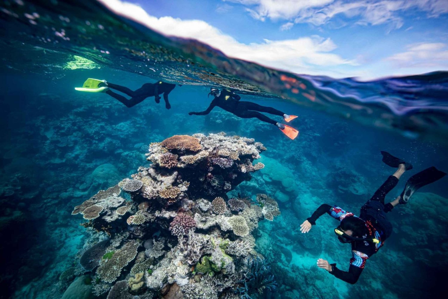 De Cairns: Viagem de mergulho com snorkel na Grande Barreira de Corais com almoço
