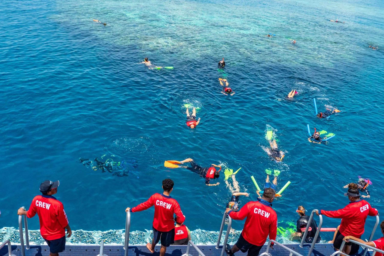 From Cairns: Great Barrier Reef Snorkeling Experience