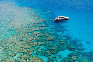 From Cairns: Great Barrier Reef Snorkeling Experience