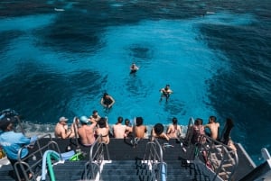 Au départ de Cairns : Excursion de plongée en apnée sur la Grande Barrière de Corail avec déjeuner