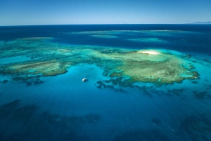 Fra Cairns: Great Barrier Reef halvdagstur med snorkling