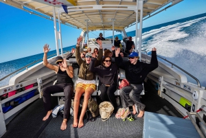 Fra Cairns: Great Barrier Reef halvdagstur med snorkling