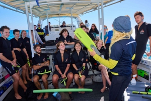 Fra Cairns: Great Barrier Reef halvdagstur med snorkling