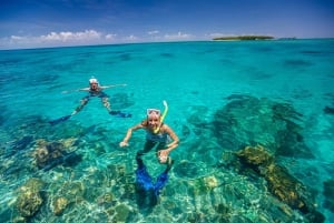 From Cairns: Green Island Snorkelling or Glass Bottom Boat