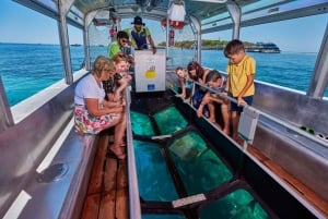 Vanuit Cairns: Green Island dagexcursie