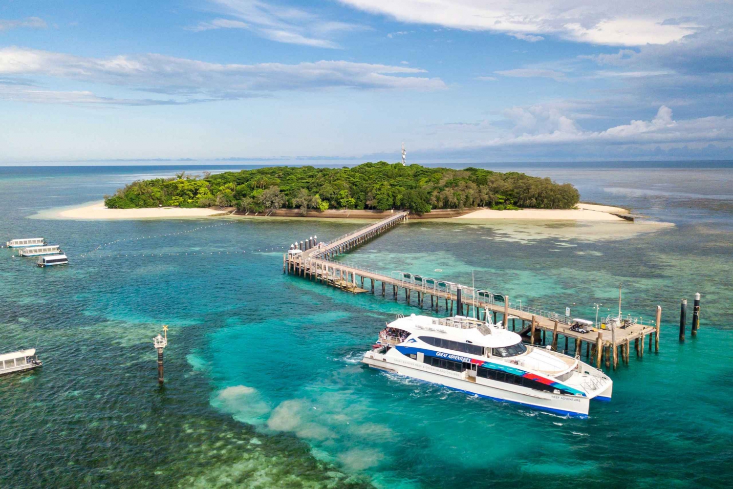 Vanuit Cairns: Green Island + Moore Reef Ponton Combo