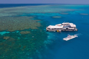 Da Cairns: Combo Isola Verde + pontone di Moore Reef
