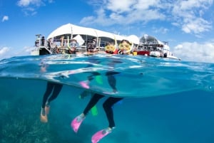 Vanuit Cairns: Green Island + Moore Reef Ponton Combo