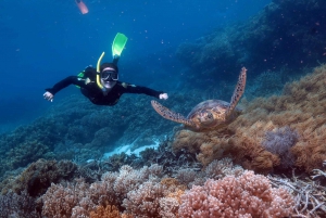 Från Cairns: Green Island + Moore Reef Pontoon Combo