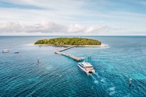 Au départ de Cairns : Green Island : plongée en apnée et bateau à fond de verre