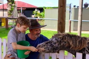 Depuis Cairns : Excursion d'une journée à Kuranda avec zoo pour enfants et balade en quad