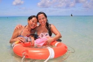 From Cairns: Cruise to Michaelmas Cay with Water Activities